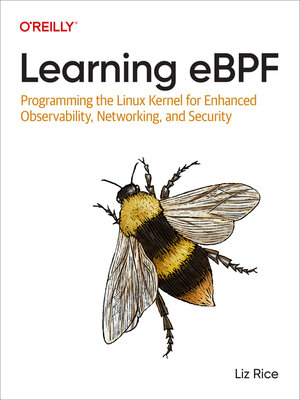 Learning eBPF - ebook